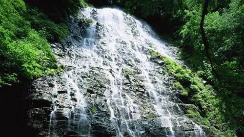 绿色数字化独特